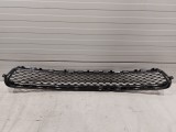 Lower Grille